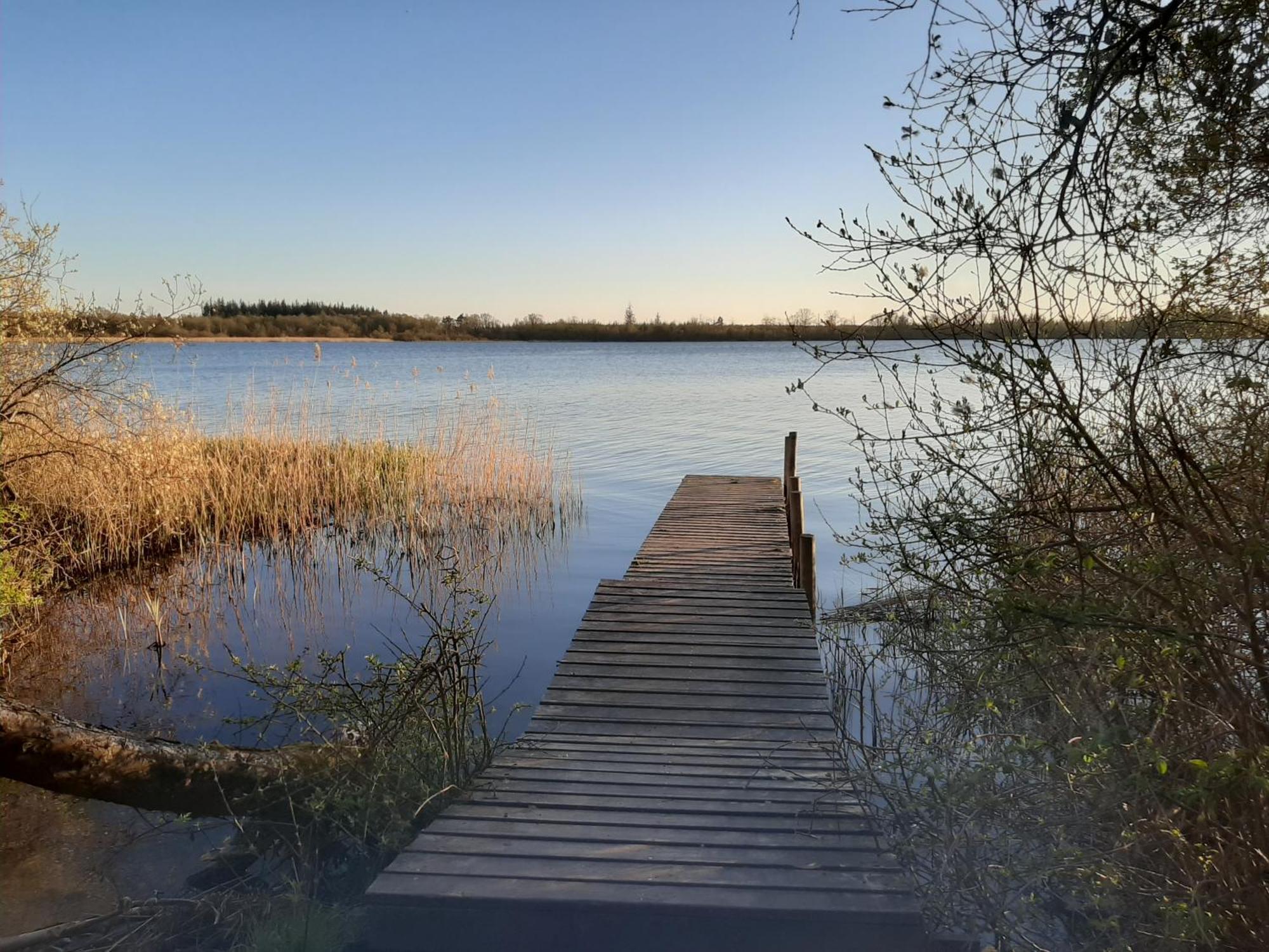 Stilbjerg Leilighet Varde Rom bilde